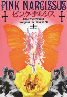 Artwork for Pink Narcissus (1971)