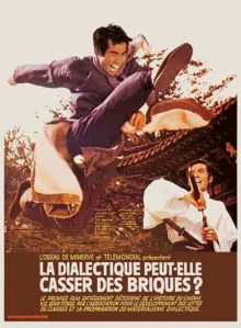 Artwork for Can Dialectics Break Bricks? (1973)