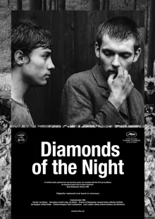 Artwork for Diamonds in the Night (1964)